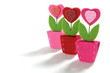 Love Heart Flowers
