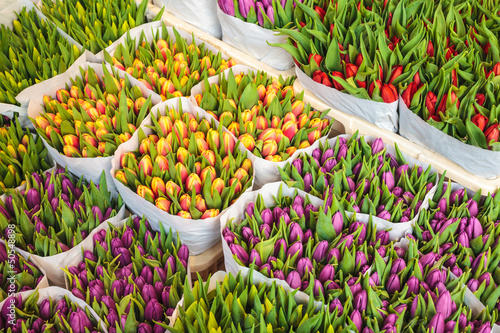 Photo: Assortment of colorful tulips in a flower shop Assortment of colorful tulips in a flower shop