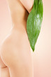 female torso with green leaf