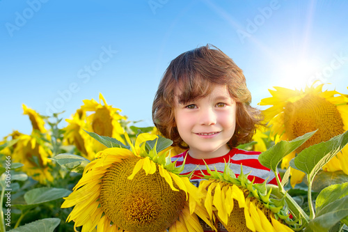 Photo: Sweet boy in field with sunflowers Sweet boy in field with sunflowers