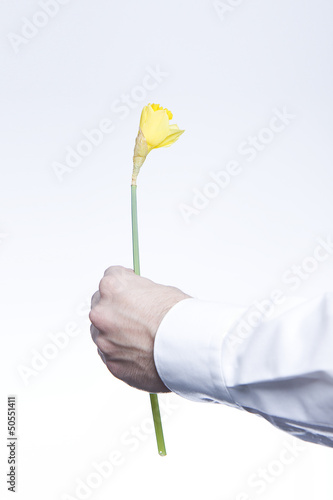 Photo: Blume Blume