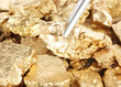 Tweezers holding golden nugget close-up