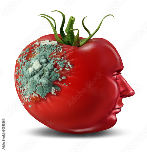 Illustration: Brain Decay Brain Decay