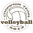 Vector: volleyball label volleyball label