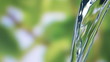 Video: Fresh cool water pouring. Fresh cool water pouring.