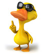Fun duck