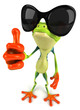 Green frog