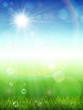 Summer background with green grass