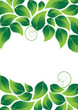 Vektor: Lush foliage Lush foliage