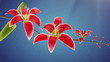 Opening flowers (Stylized). Chroma key included