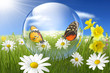 Frühling 199