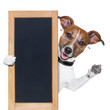 dog banner