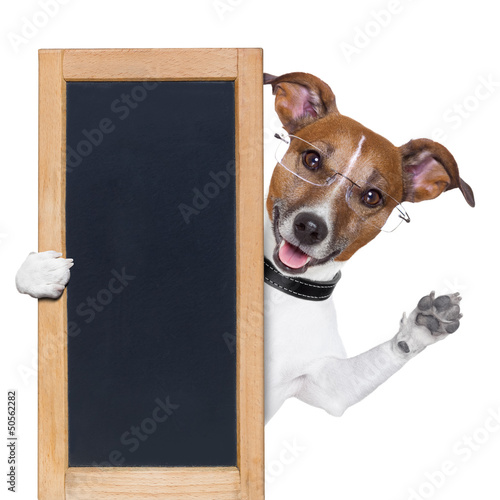 Photo: dog banner dog banner