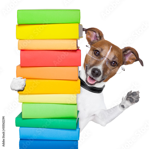 Photo: dog and books dog and books