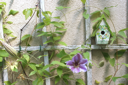 Photo: Vogelhäuschen Vogelhäuschen