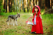 wolf pursues the girl. the fairy tale " Red Riding Hood"