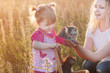 Photo: little girl with cats in basket outdoor little girl with cats in basket outdoor
