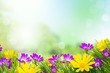 blumen