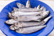herrings