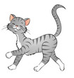 freche Katze