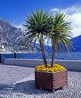 Gardasee_312147