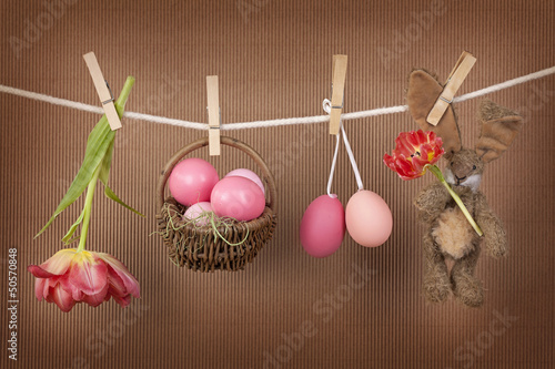 Photo: Tulip flowers and rabbit Tulip flowers and rabbit