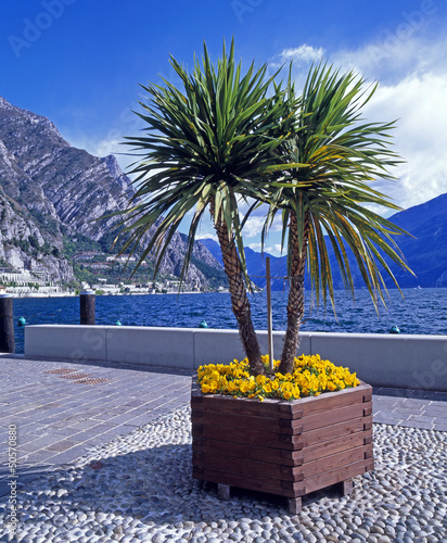 Photo: Gardasee_312147 Gardasee_312147