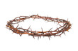 Crown of thorns