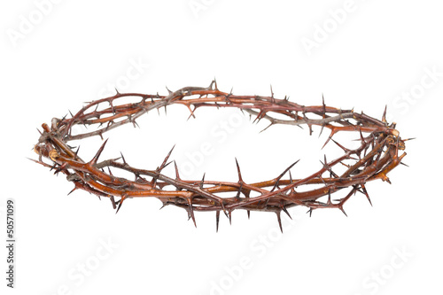 Photo: Crown of thorns Crown of thorns