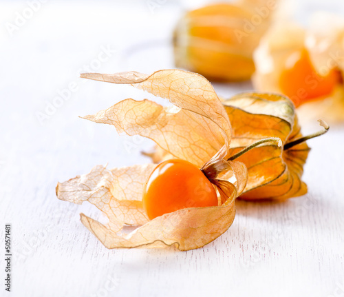 Photo: Physalis fruit Physalis fruit