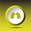 Kidneys. Plastic button. Vector illustration.