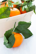 Mandarinen