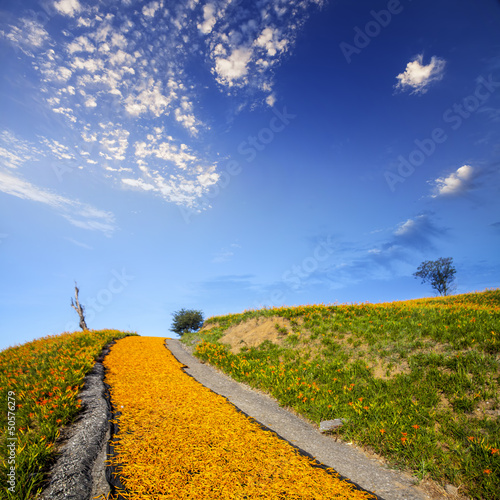 Photo: springtime in alps with mountain springtime in alps with mountain
