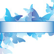 Butterfly Card