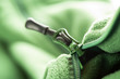 Closeup of zipper