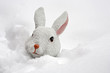 Osterhase