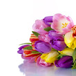 Tulpenstrauß