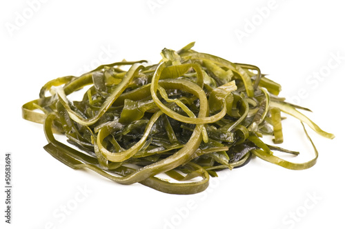 Photo: seaweed on white seaweed on white