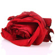 Red rose on a white background