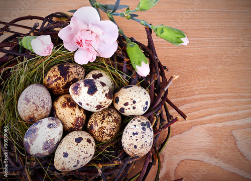 Photo: Quail's Eggs and Flowers in a Easter Nest Quail's Eggs and Flowers in a Easter Nest