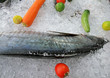 fresh fish
