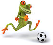 Fun frog