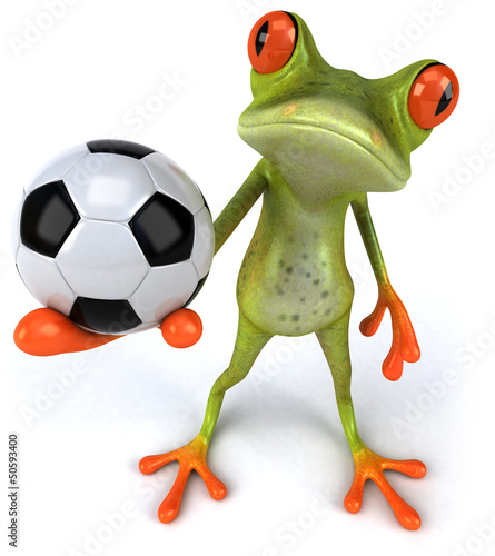 Photo: Fun frog Fun frog
