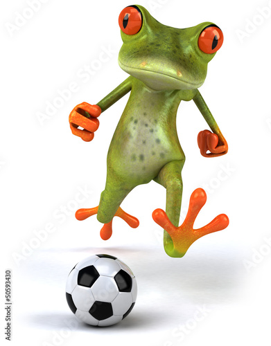 Photo: Fun frog Fun frog