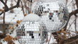 Winter disco balls.