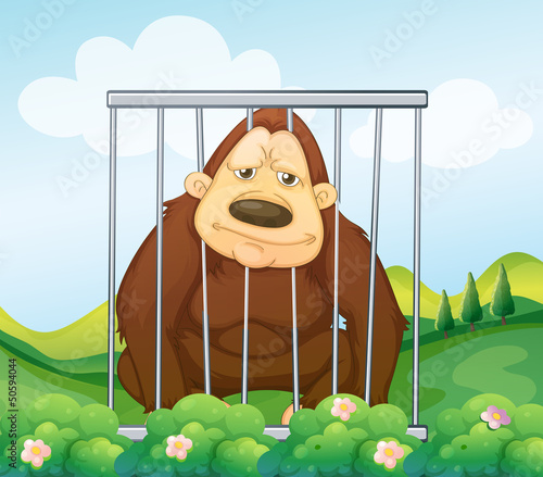 Vector: A gorilla in a cage A gorilla in a cage