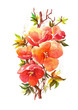 Pomegranate Flowers