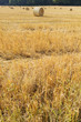hay bales