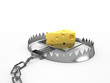 Piece of cheese - a bait in a trap
