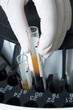Woman loading samples in analyzer
